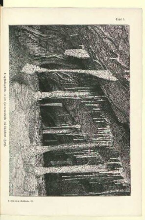Tropfsteingebilde in der Hermannshöhle bei Rübeland (Harz)
