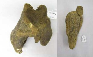 Wurzeln (Alraune)