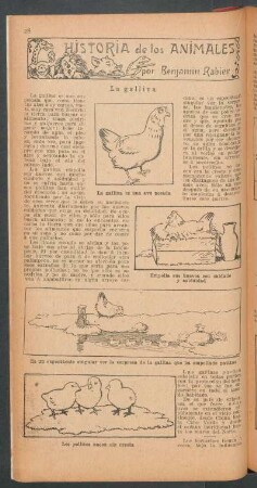 La gallina : Historia de los animales