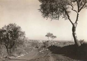 Nicolosi