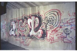 PASt