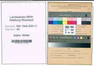 Entnazifizierung Walter Adam , geb. 15.05.1901 (Buchhalter)