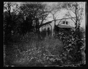 Ohne Titel (Blick durch Garten auf Haus und Schuppen)