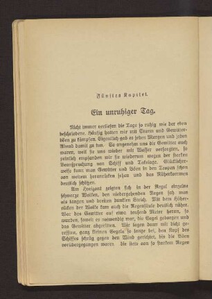 Fünftes Kapitel. Ein unruhiger Tag.