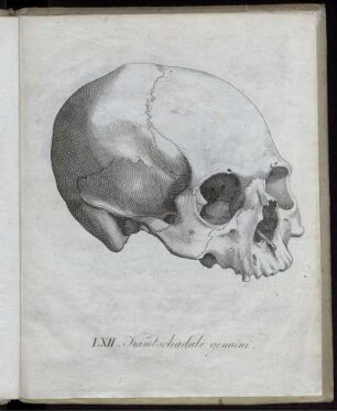 LXII. Kamtschadali genuini