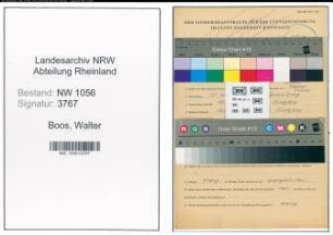 Entnazifizierung Walter Boos , geb. 15.10.1907 (Ingenieur)