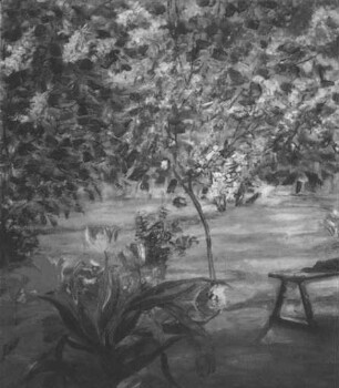 unbenannt [Gartenblick]