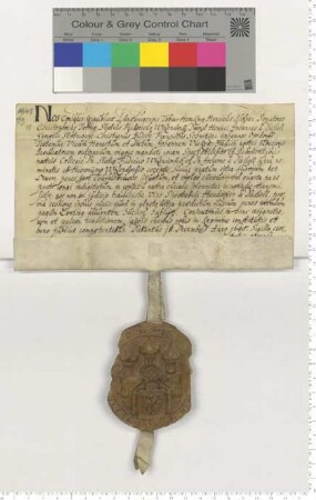 Bürgermeister und Ratsmannen bekunden die Auflassung einer Ilmenau [Owen] Wiese bei "dem Teufelsbruche" [lat].