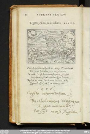 Quae supra nos,nihil ad nos. XXVIII.