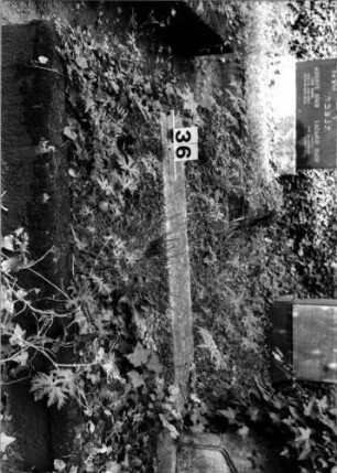 Grabstein 36 (Index: 100106160) Zustand: nur Sockel erhalten Maße HxBxT: 23x102x18 cm Beschreibung: Sockel: Grabstein 36