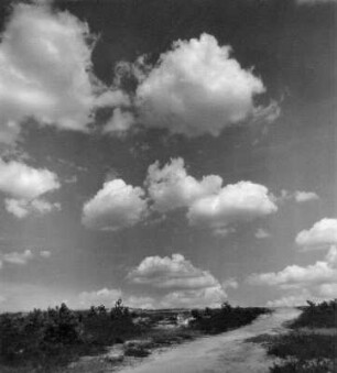 Wolkenbilder. Wolken über einem Weg