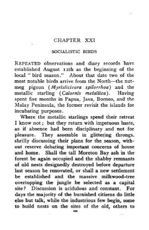 XXI. SOCIALISTIC BIRDS