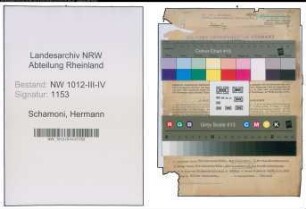 Entnazifizierung Hermann Schamoni , geb. 29.01.1894 (Arzt)