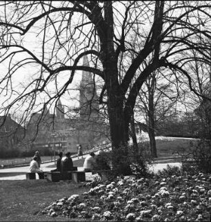 Stadtgarten in Freiburg
