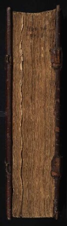 2: Biblia latina : Cum postillis Nicolai de Lyra et expositionibus Guillelmi Britonis in omnes prologos S. Hieronymi, et additionibus Pauli Burgensis replicisque Matthiae Doering.
