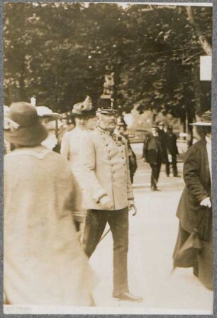Erzherzog Friedrich, Herzog von Teschen : (ganze Figur, gehend)