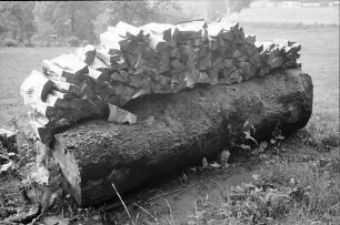 St. Peter: Holzstapel-Plastik