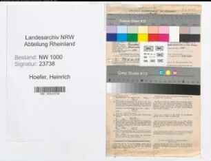 Entnazifizierung Heinrich Hoefer, geb. 06.05.1901 (Vers.Angest.)