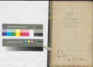 Kirchenbuchduplikate der katholischen Gemeinde Beelen (GHT 1831-1849). (Gemeinde: Beelen, kath. Gemeinde)
