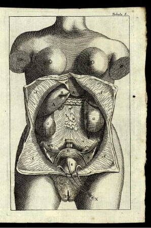 Tabula I. - Tabula IV.