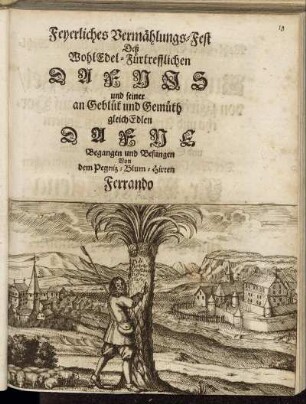 Feyerliches Vermählungs-Fest Deß WohlEdel-Fürtrefflichen Dafnis und seiner an Geblüt und Gemüth gleichEdlen Dafne