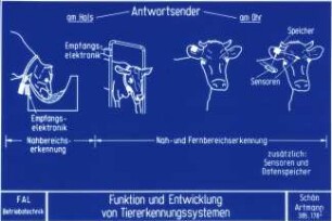 Funktion und Entwicklung von Tiererkennungssystemen