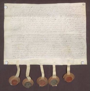 Instrumentum probationis des Franz Arnold Raitz von Frentz.