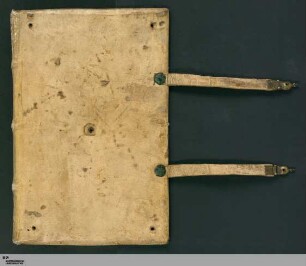 Auctoritates sacre scripture de diversis virtutibus ac vitiis tractantes - Cod.Don.237