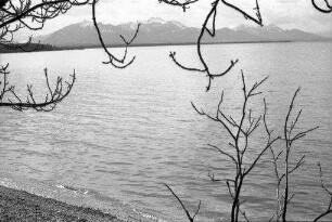 Chieming: Chiemsee von Osten, Vordergrund kahle Äste