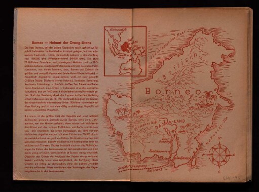Borneo- Heimat der Orang-Utans