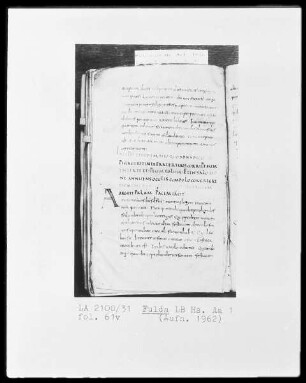 Augustinus, Sermones und anderes — Initiale A, Folio 61 verso