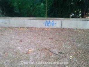 NAG