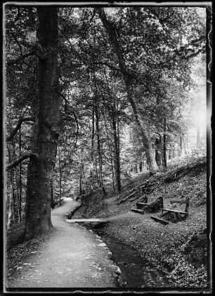 Bad Harzburg, Philosophenweg