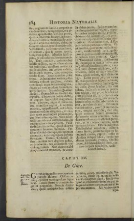 Caput XVI. De Glire.