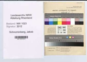 Entnazifizierung Jakob Schnorrenberg , geb. 11.12.1893 (Sattler)