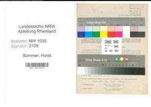 Entnazifizierung Horst Sommer , geb. 06.11.1919 (Bergbaubeflissener)