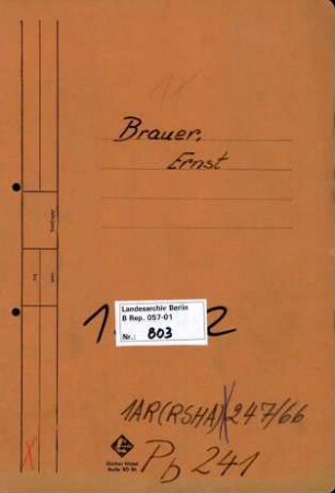 Personenheft Ernst Brauer (*04.11.1903), Regierungsamtmann