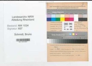 Entnazifizierung Bruno Schmidt , geb. 21.09.1881 (Kapitaen)