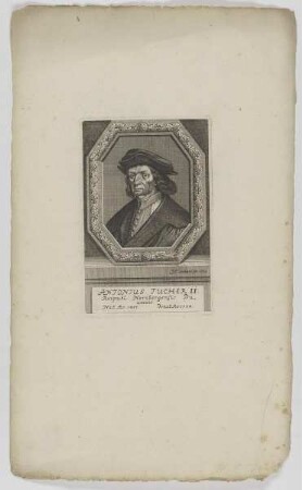 Bildnis des Antonius Tucher II.