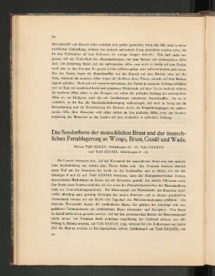 Die Sonderform der menschlichen Brust und der menschlichen Fettablagerung an Wange, Brust, Gesäß und Wade.