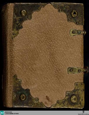 Lateinisches Stundenbuch - Cod. St. Peter perg. 107