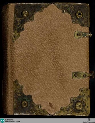 Lateinisches Stundenbuch - Cod. St. Peter perg. 107