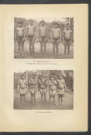 104. Ihuruana-Männer. Prinzgemahl - Fleischverteiler - Zauberarzt. - 105. Ihuruana-Weiber. - [Fotografien]