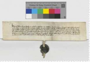 Der Knappe Hinrik Blome bekennt, dass der Lüneburger Rat die ihm und seinem Bruder Diderik zu Ostern [1429] fälligen 30 Mark Lübisch bezahlt hat.