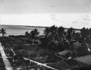 Küstenabschnitt in Daressalam (Ostafrika-Reisen Uhlig 1901-1910)