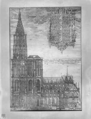 Straßburg, Ansicht des Münsters von Süd-Westen
