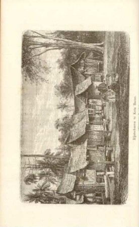 Rijstschuren te Kota Baroe