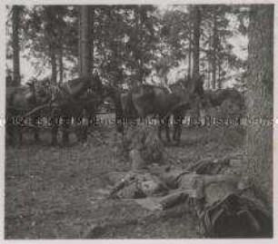 Wehrmachtssoldaten, Soldaten in Rußland, Der Soldat aus der bespannten Kolonne und von der berittenen Truppe schläft neben seinem Pferd.