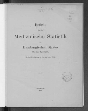 1916(1918): Bericht über die medizinische Statistik des Hamburgischen Staates