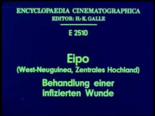 Eipo (West-Neuguinea, Zentrales Hochland) - Behandlung einer infizierten Wunde